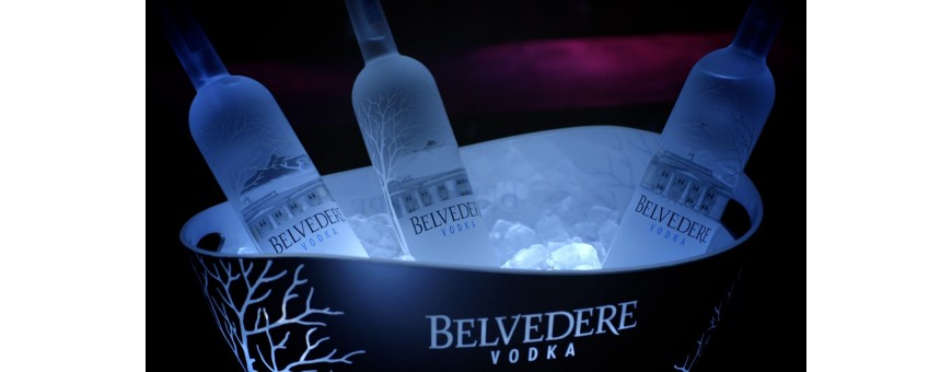 Logo De Vodka Du Belvédère Sur Quelques Bouteilles à Vendre. Une Marque  Belvédère De Vodka De Poli Produite Par La Société De Lvmh Photographie  éditorial - Image du distribué, illustration: 205860782