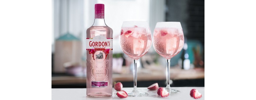 Gin Gordon’s - Quai des Vins